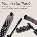 Travel Set against beige background