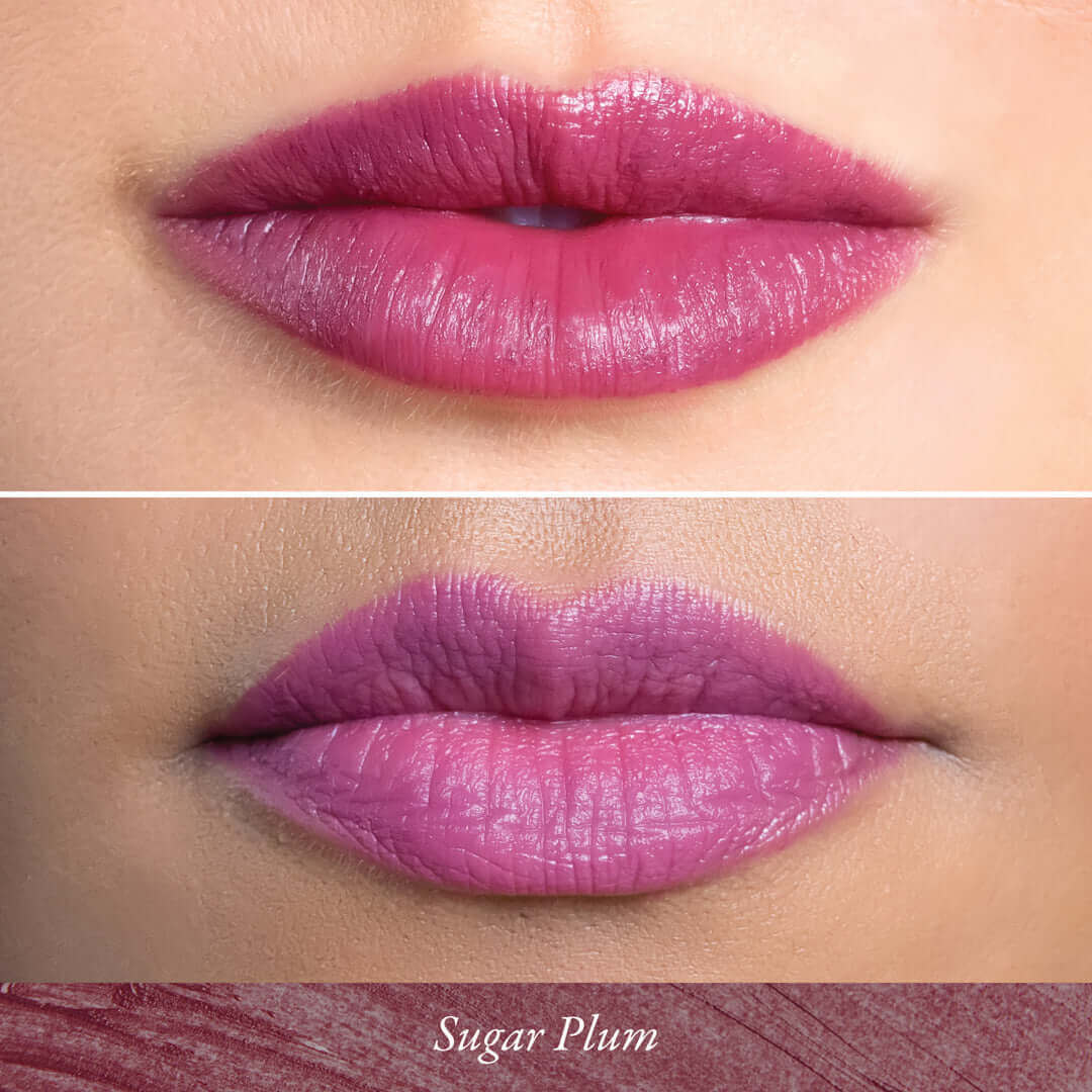 Silky Pout Creamy Lip Chubby - PÜR